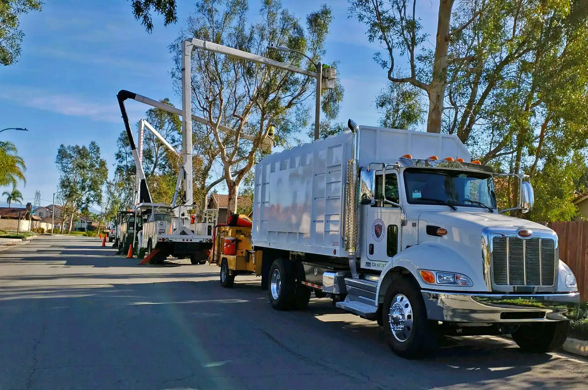 United Pacific Services, Inc. | Landscaping and Vegetation Management Services
